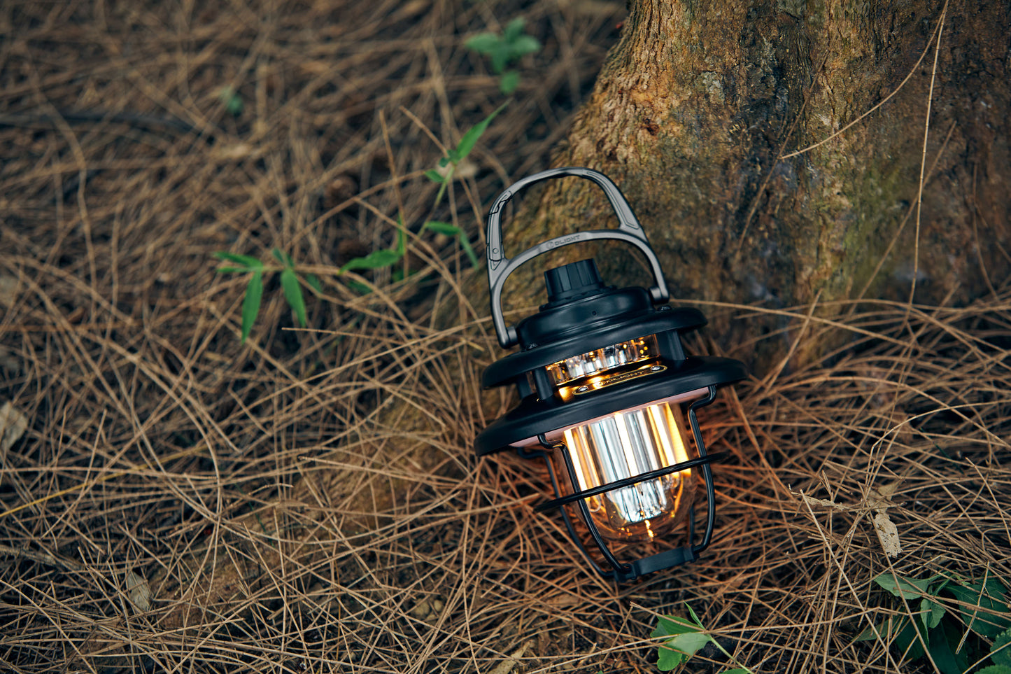 OLIGHT OLANTERN CLASSIC MINI