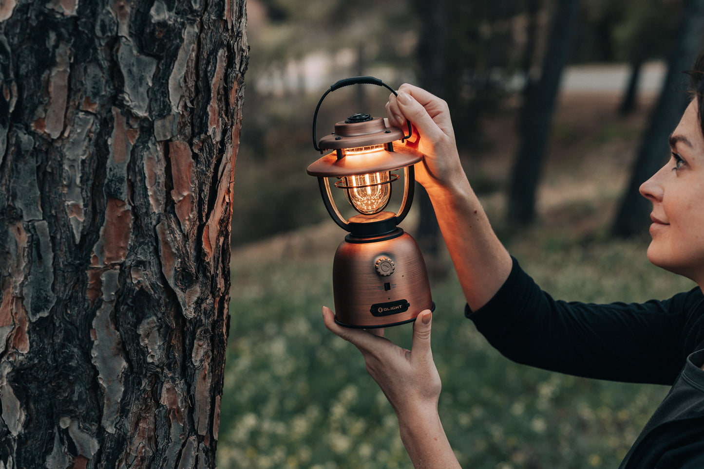 OLIGHT OLANTERN STRETCH