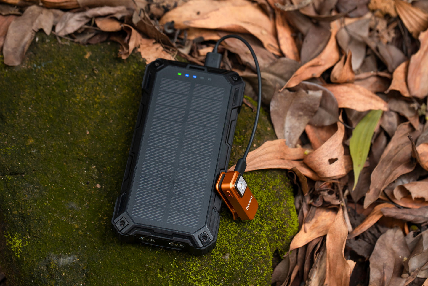 OLIGHT OCLIP