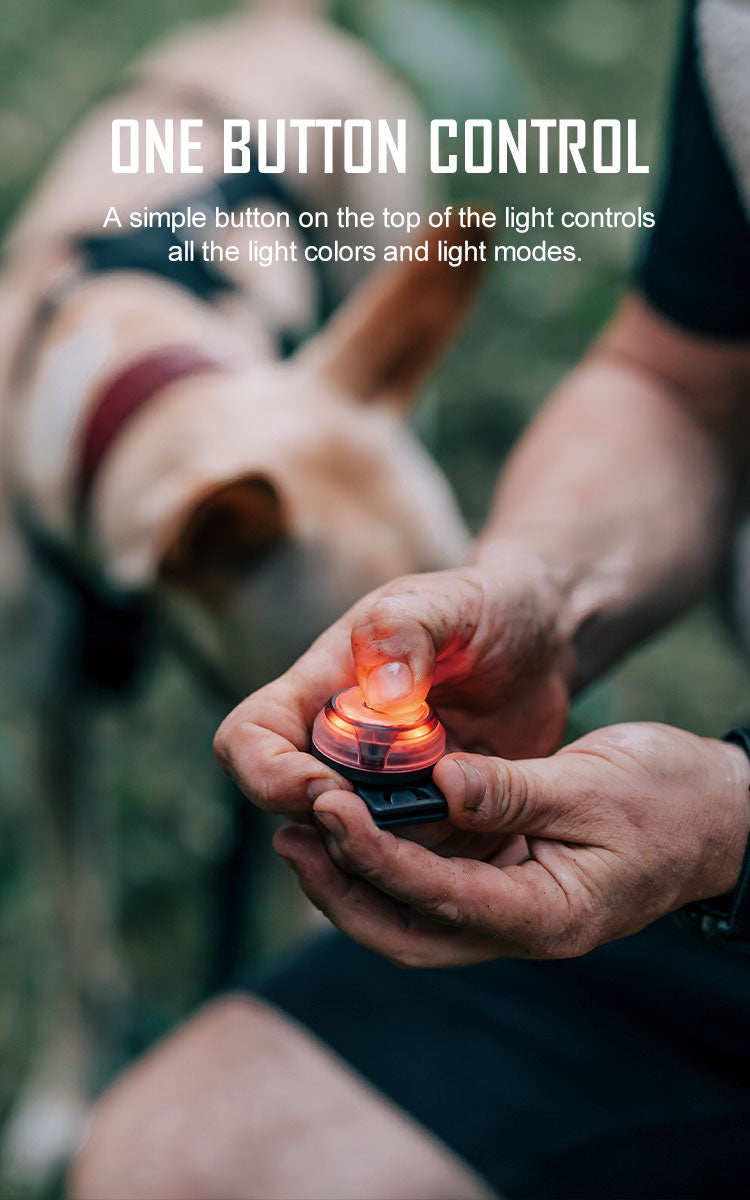 OLIGHT GOBER