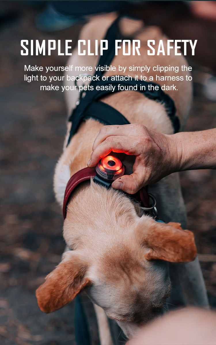 OLIGHT GOBER