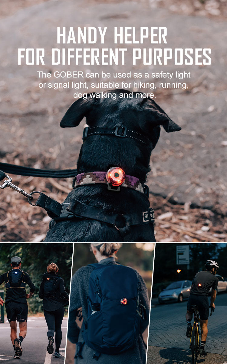 OLIGHT GOBER