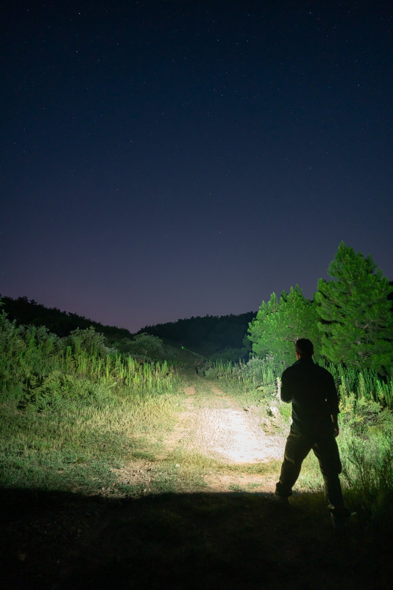 OLIGHT ARKFELD PRO