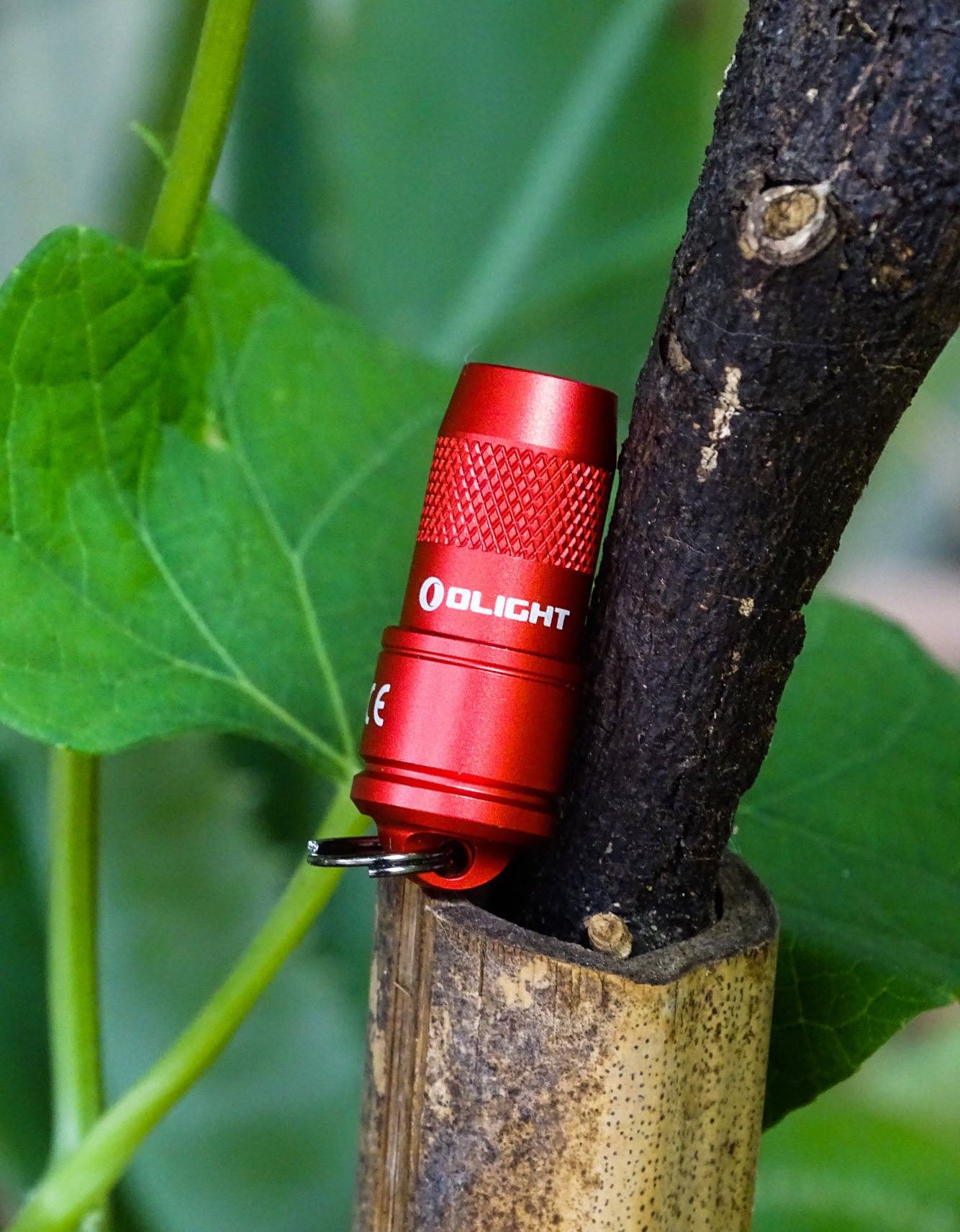 OLIGHT IMINI