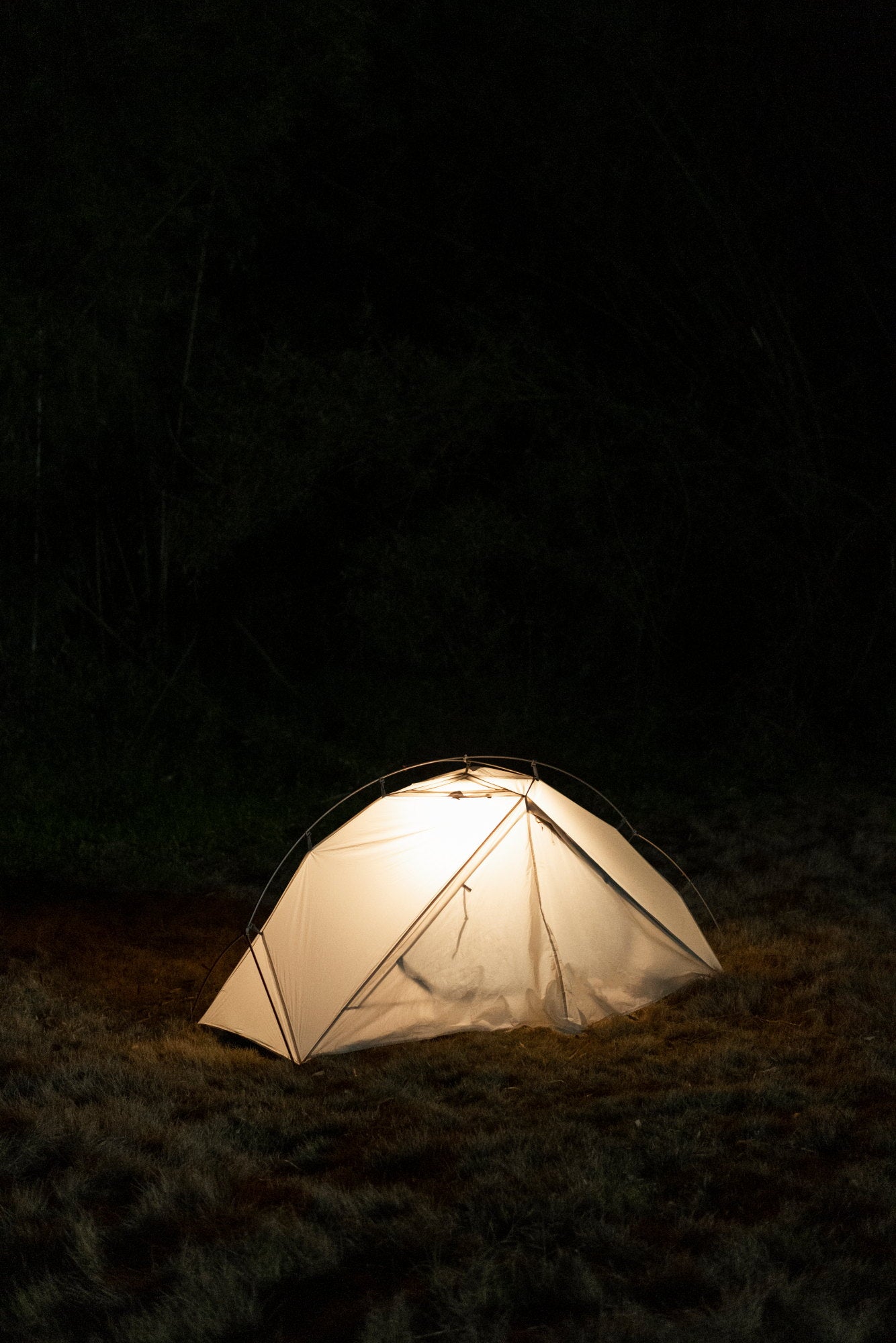 OLIGHT OBULB PLUS