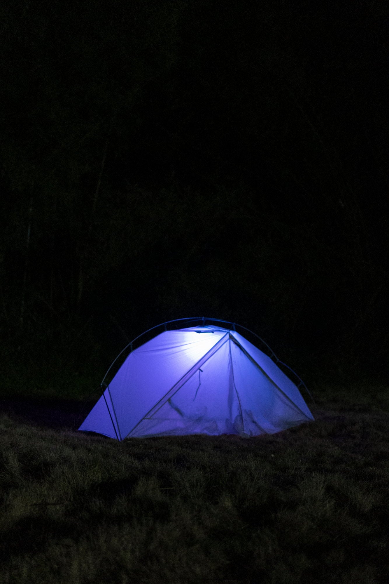 OLIGHT OBULB PLUS
