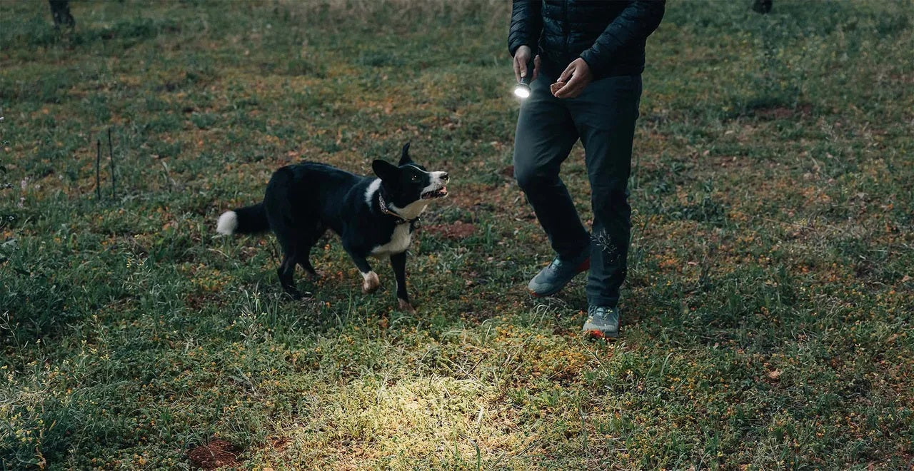 OLIGHT PROWESS
