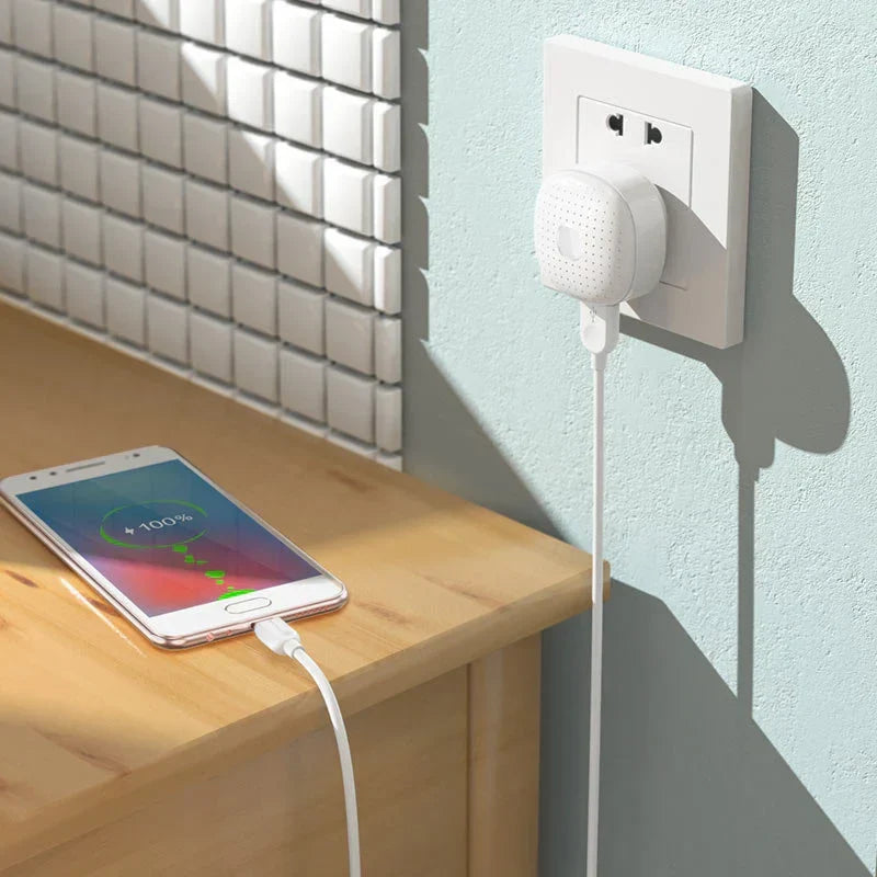 EARLDOM 3A FAST CHARGER