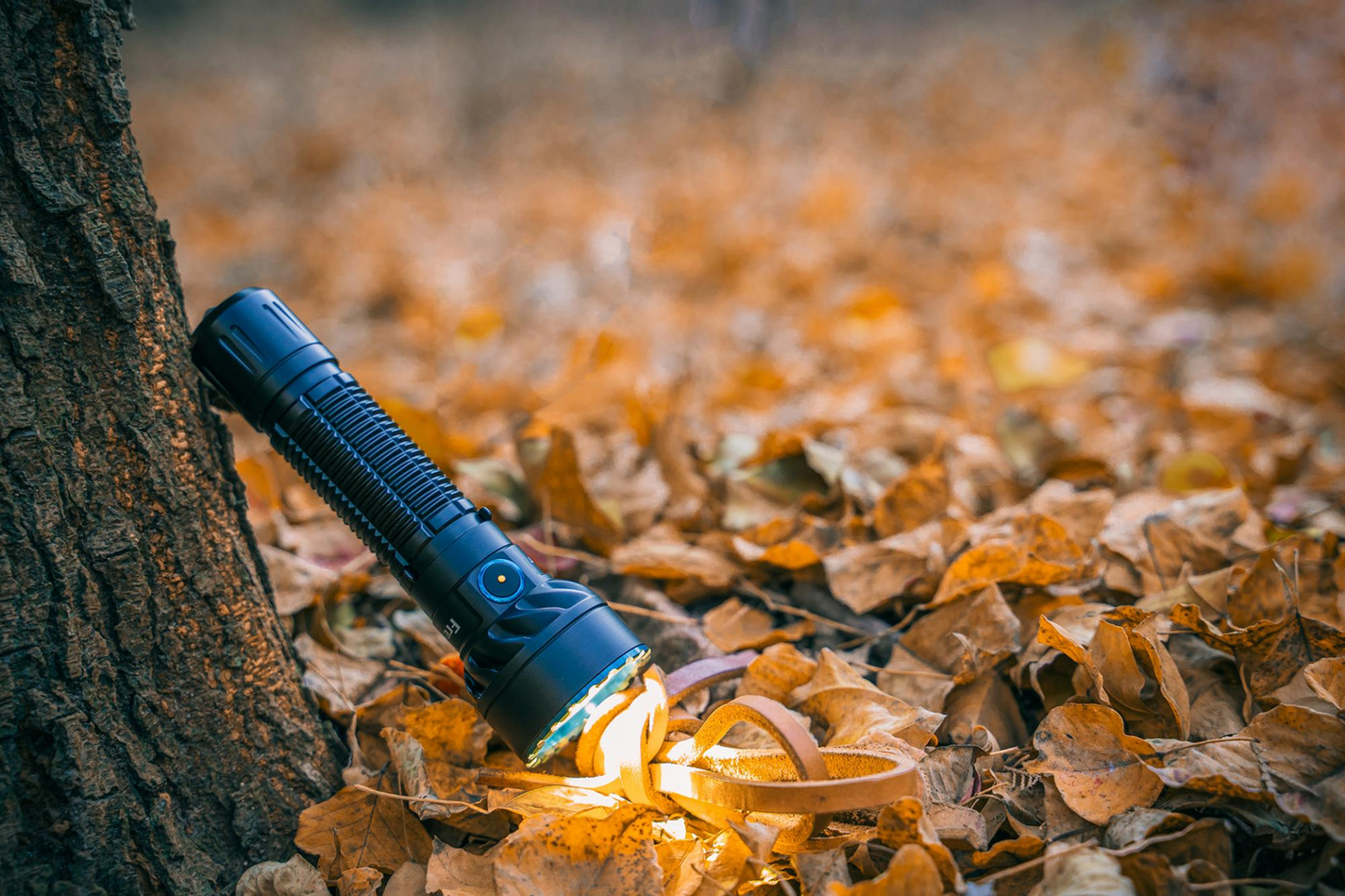 OLIGHT FREYR