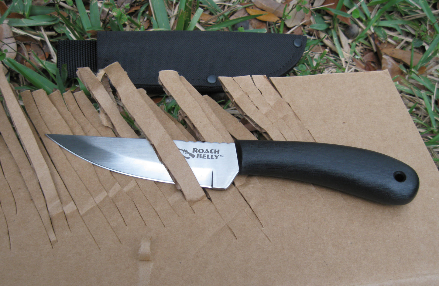 COLDSTEEL ROACH BELLY
