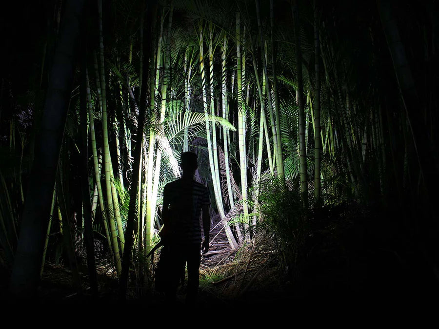 FENIX HL40R( 600 LUMENS )