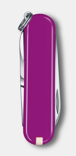 VICTORINOX CLASSIC SD TASTY GRAPE