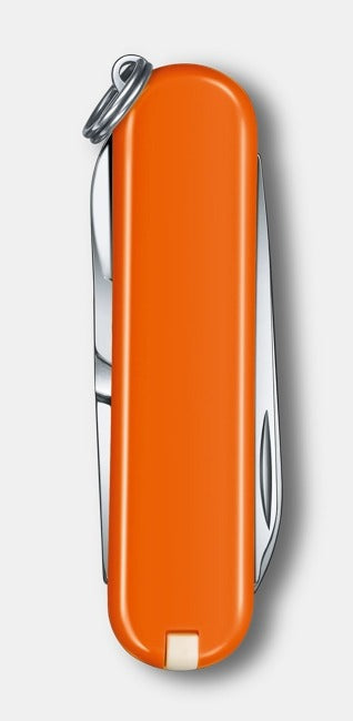 CLASSIC SD MANGO TANGO