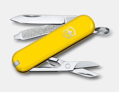 VICTORINOX CLASSIC SD ( ALL COLORS )