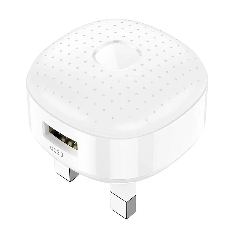 EARLDOM 3A FAST CHARGER
