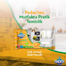 PADEX MULTI-SURFACE WET WIPES