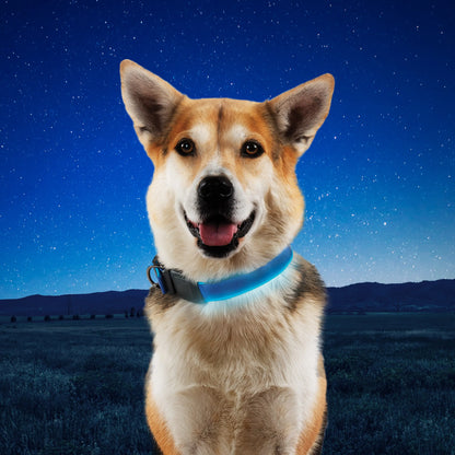 NITEIZE NITEDOG RECHARGEABLE LED COLLAR(M) BLUE