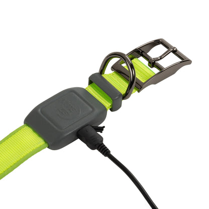 NITEIZE NITEDOG RECHARGEABLE LED COLLAR(s)LIME