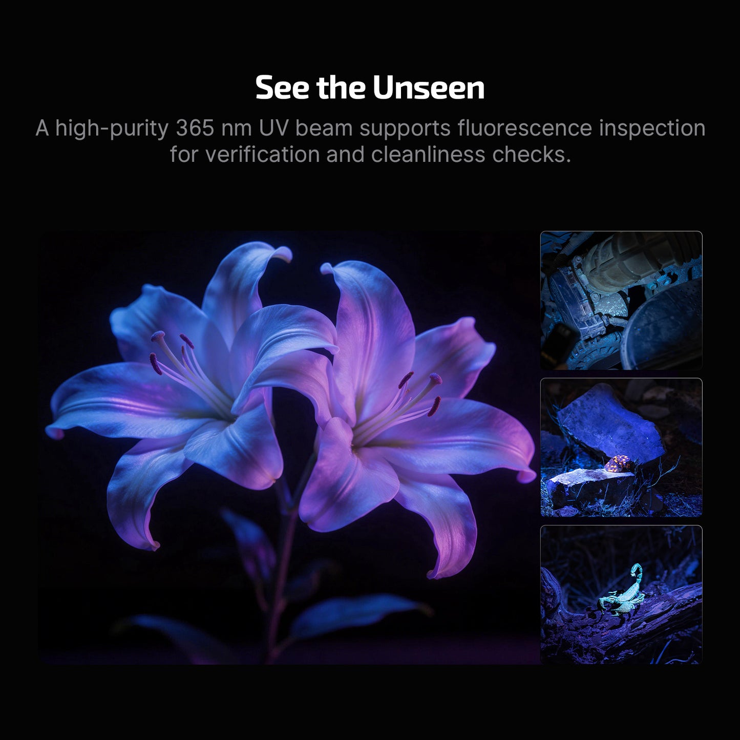 أولايت أوكليب برو إس